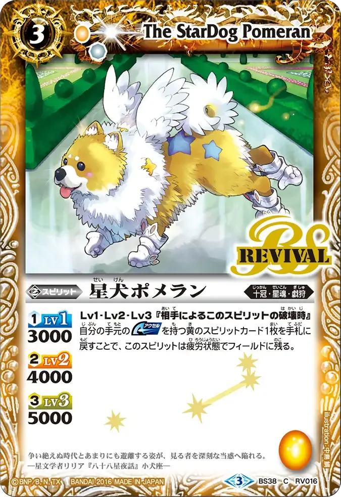 星犬ポメラン