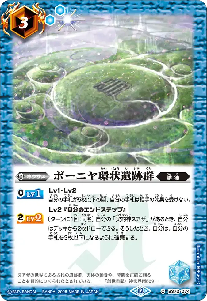 ボーニヤ環状遺跡群