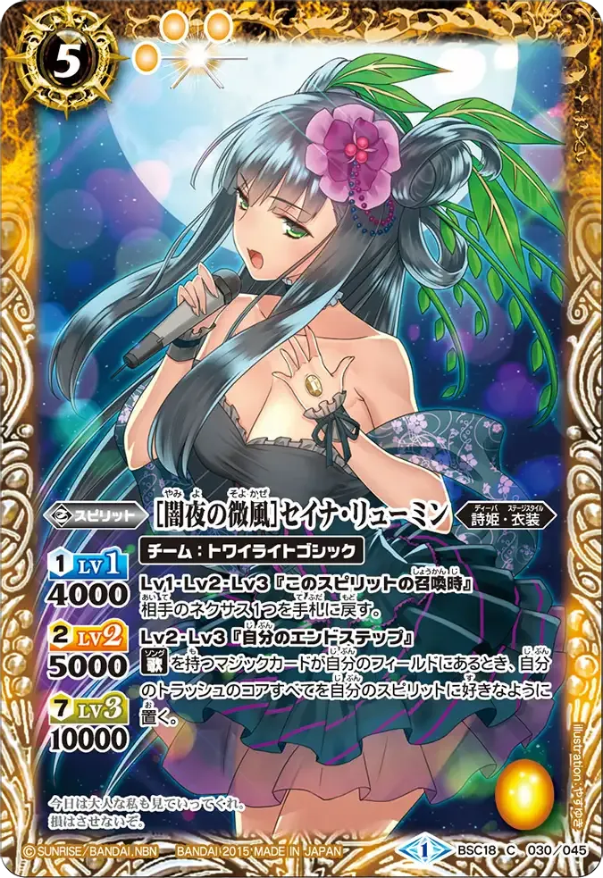 [闇夜の微風]セイナ・リューミン