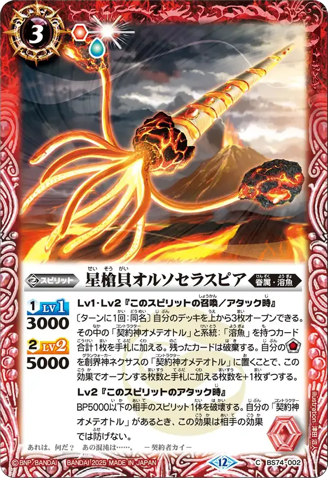 星槍貝オルソセラスピア