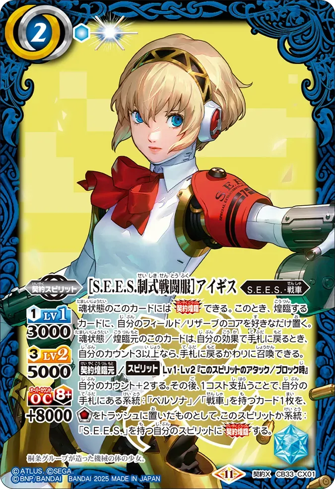 ［S.E.E.S.制式戦闘服］アイギス