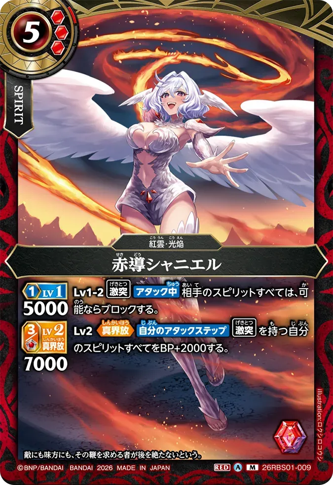 赤導シャニエル