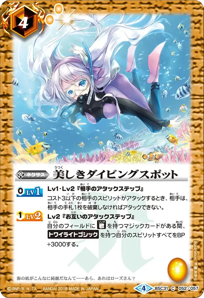 美しきダイビングスポット
