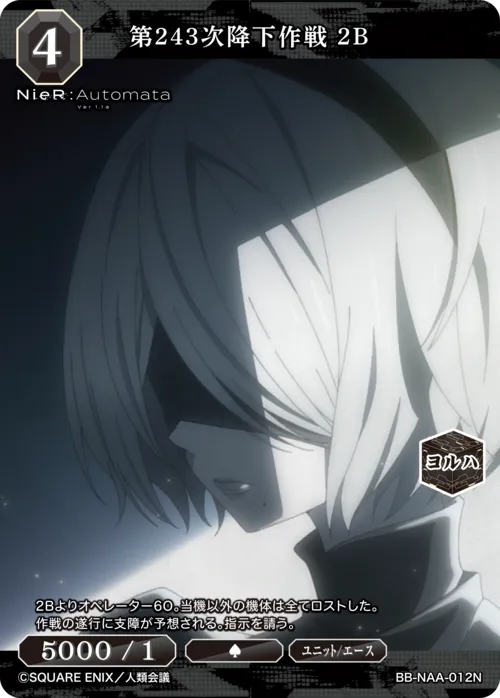 第243次降下作戦 2B