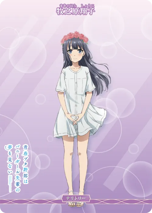 青春ブタ野郎はゆめみる少女の夢を見ない (裏)