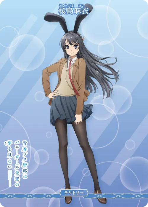 青春ブタ野郎はバニーガール先輩の夢を見ない (裏)