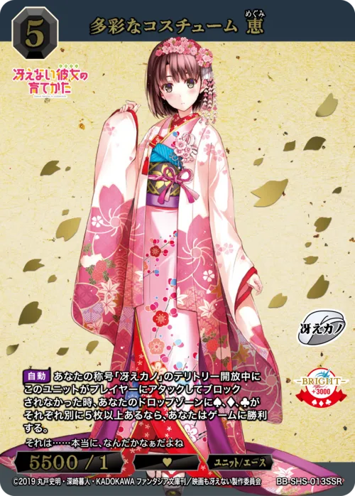 多彩なコスチューム 恵