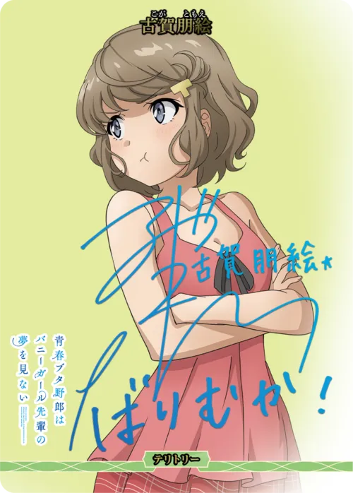 青春ブタ野郎はバニーガール先輩の夢を見ない (裏)