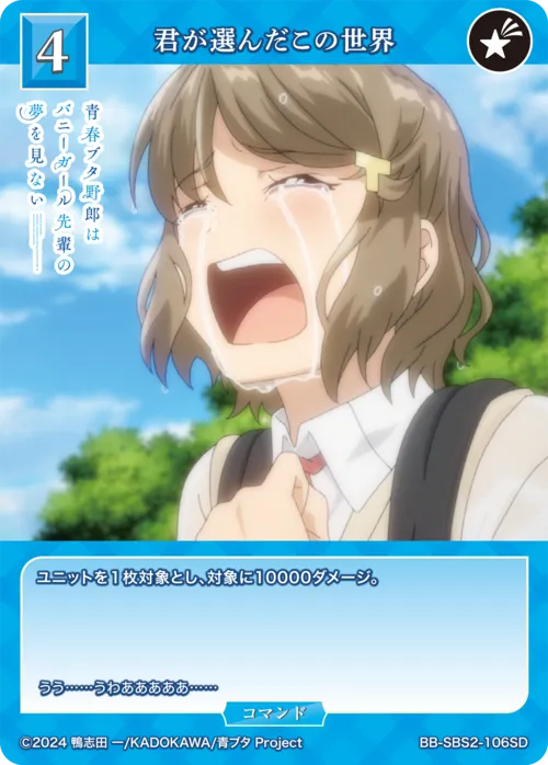 君が選んだこの世界