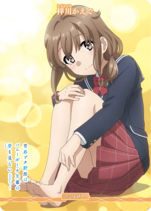 青春ブタ野郎はゆめみる少女の夢を見ない (裏)