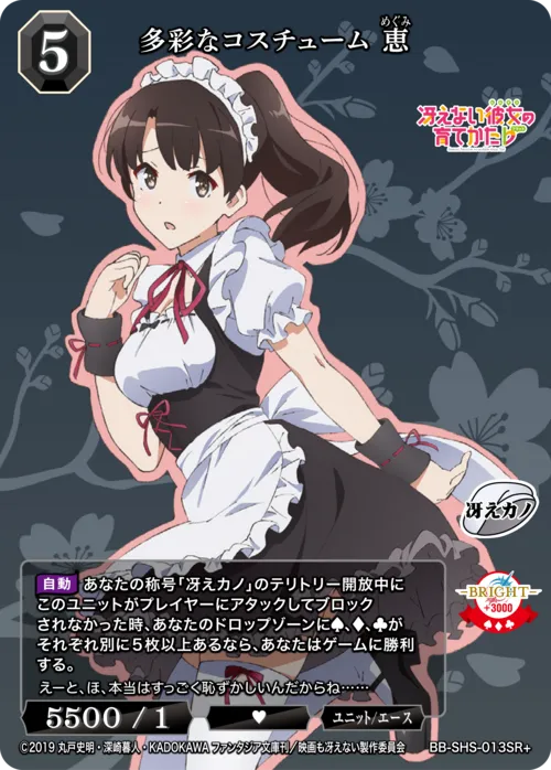 多彩なコスチューム 恵