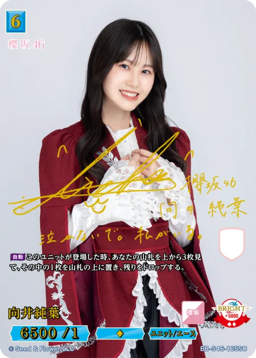 向井純葉