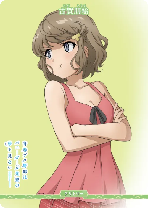 僕と彼女たちのよくある話 (裏)