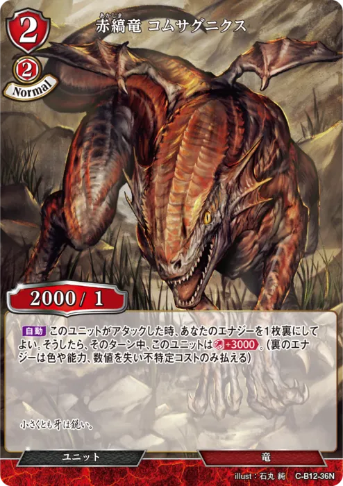 赤縞竜 コムサグニクス