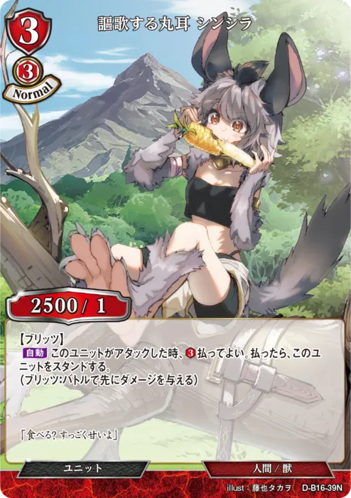 謳歌する丸耳 シンシラ
