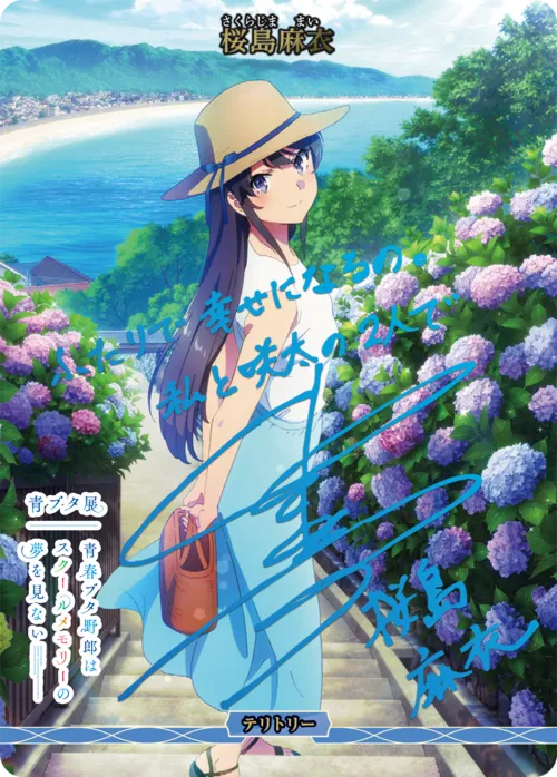 青春ブタ野郎はランドセルガールの夢を見ない (裏)