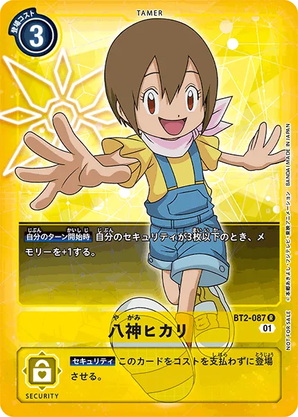 八神ヒカリ