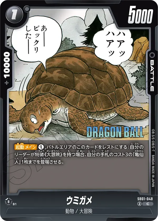 ウミガメ