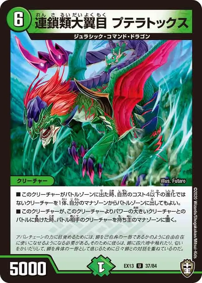 連鎖類大翼目 プテラトックス