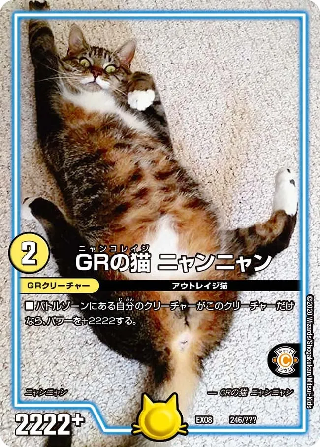 ＧＲの猫 ニャンニャン