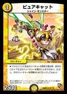 ピュアキャット