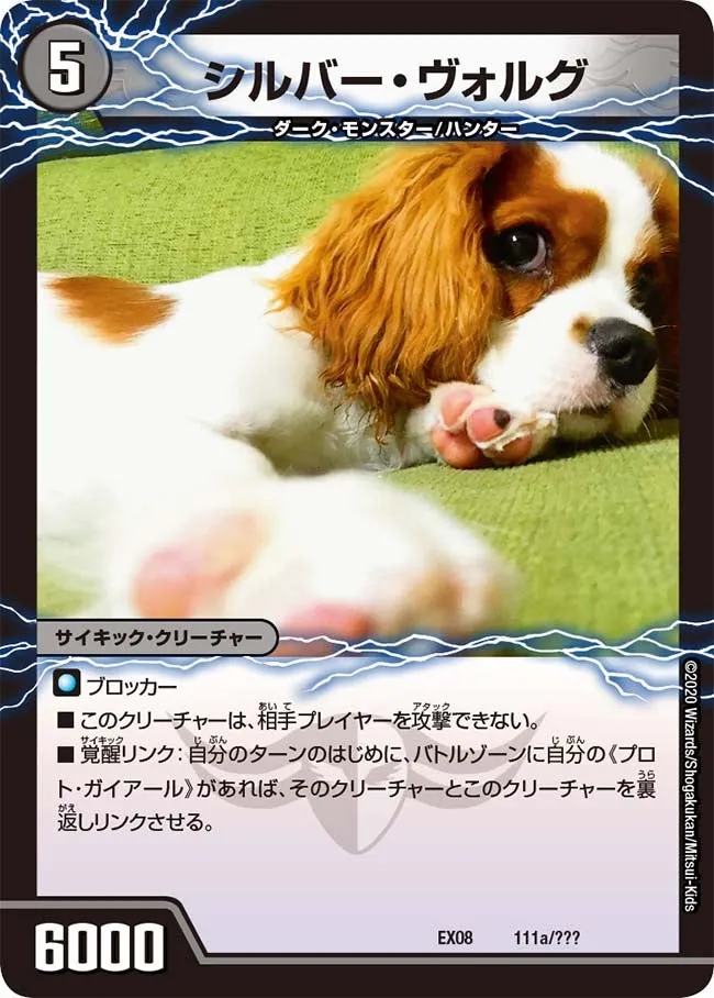 シルバー・ヴォルグ