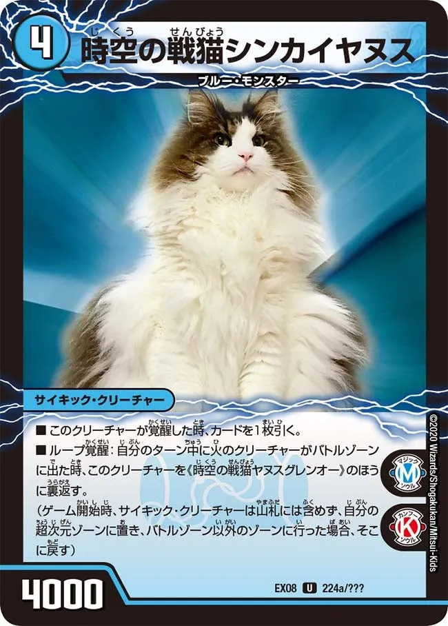 時空の戦猫シンカイヤヌス