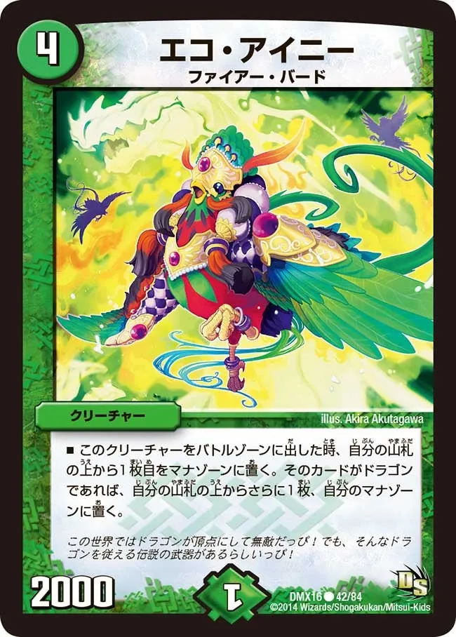 エコ・アイニー