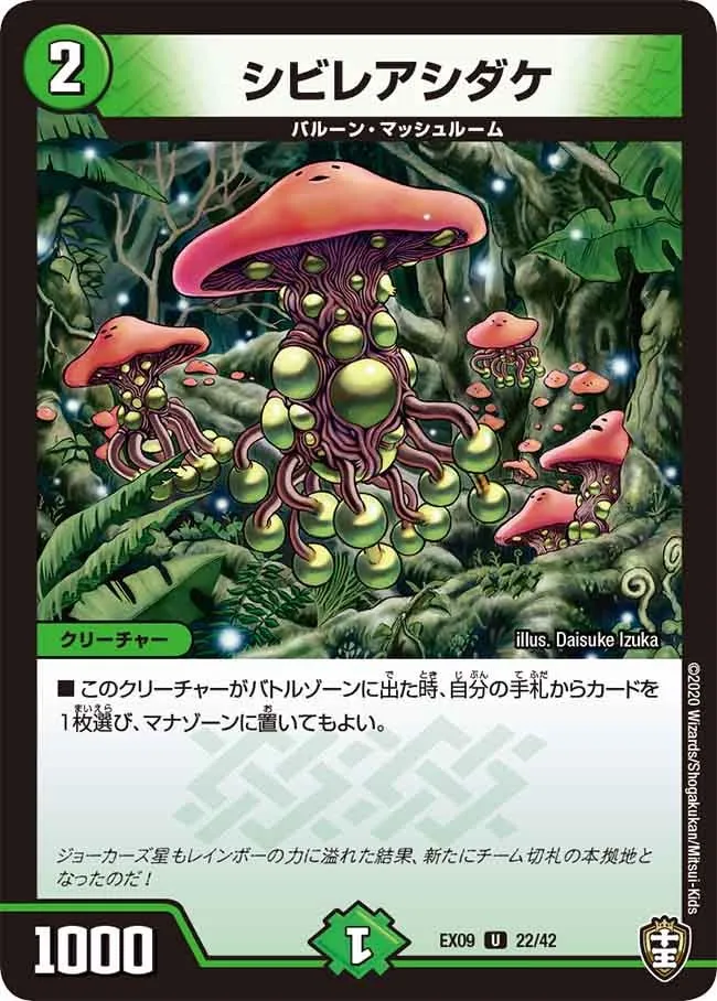 シビレアシダケ