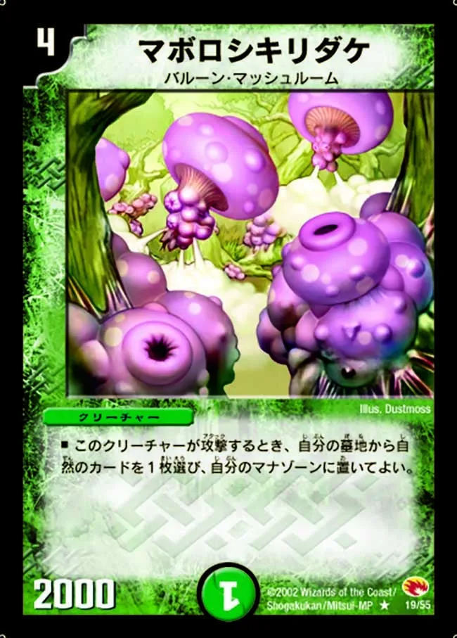 マボロシキリダケ