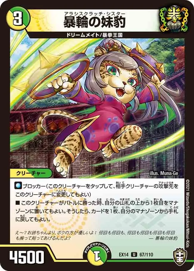 暴輪の妹豹