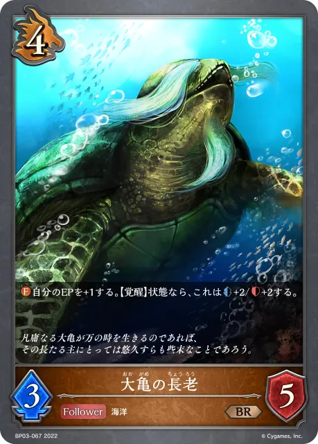大亀の長老