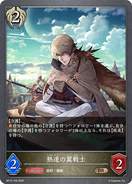 熟達の翼戦士