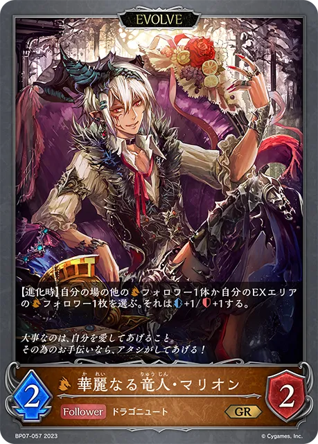 華麗なる竜人・マリオン