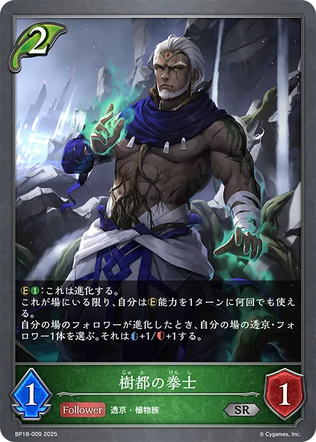 樹都の拳士
