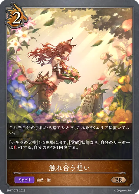 触れ合う想い