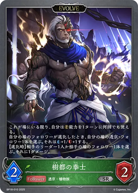 樹都の拳士