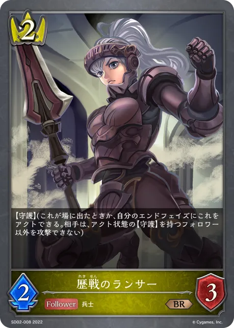 歴戦のランサー
