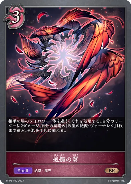 抱擁の翼