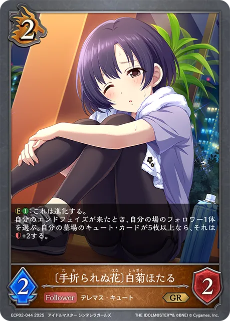 〔手折られぬ花〕白菊ほたる