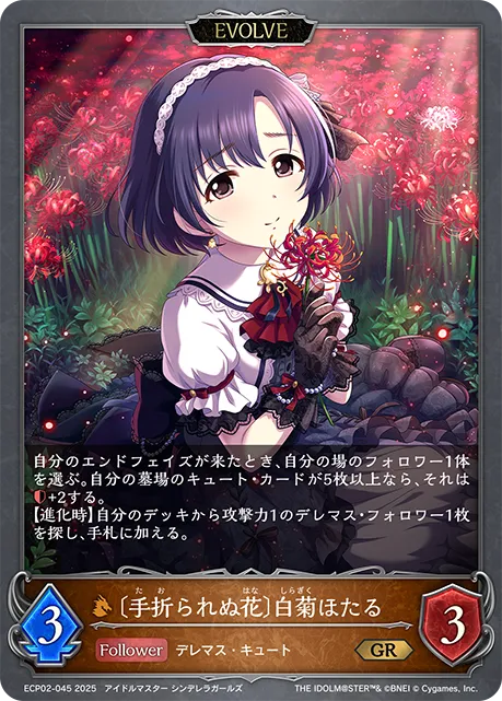 〔手折られぬ花〕白菊ほたる