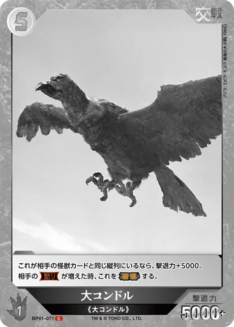 大コンドル