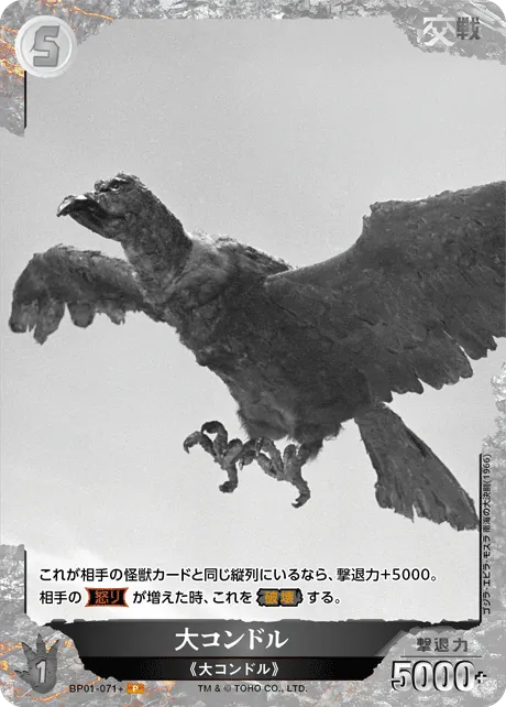 大コンドル