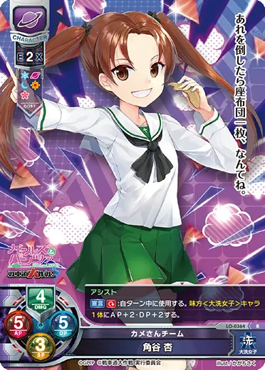 カメさんチーム