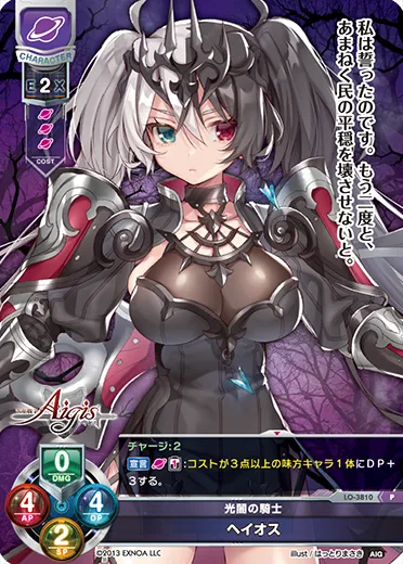 光闇の騎士