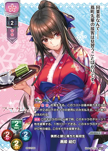 偶然と謎に満ちた転校生