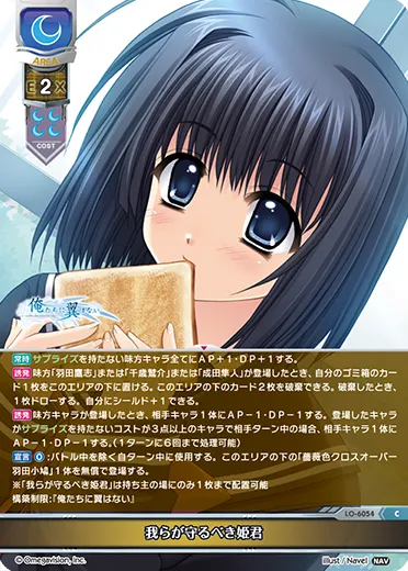 我らが守るべき姫君