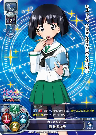 カモさんチーム