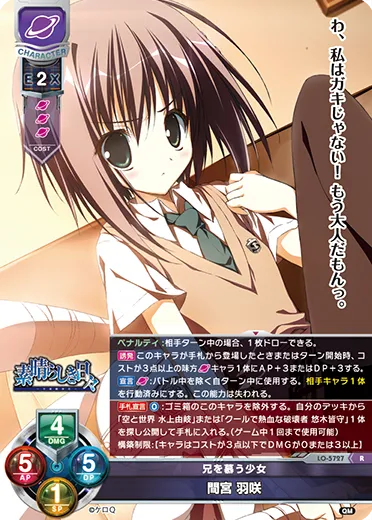兄を慕う少女