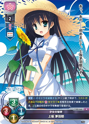 少女の秘密